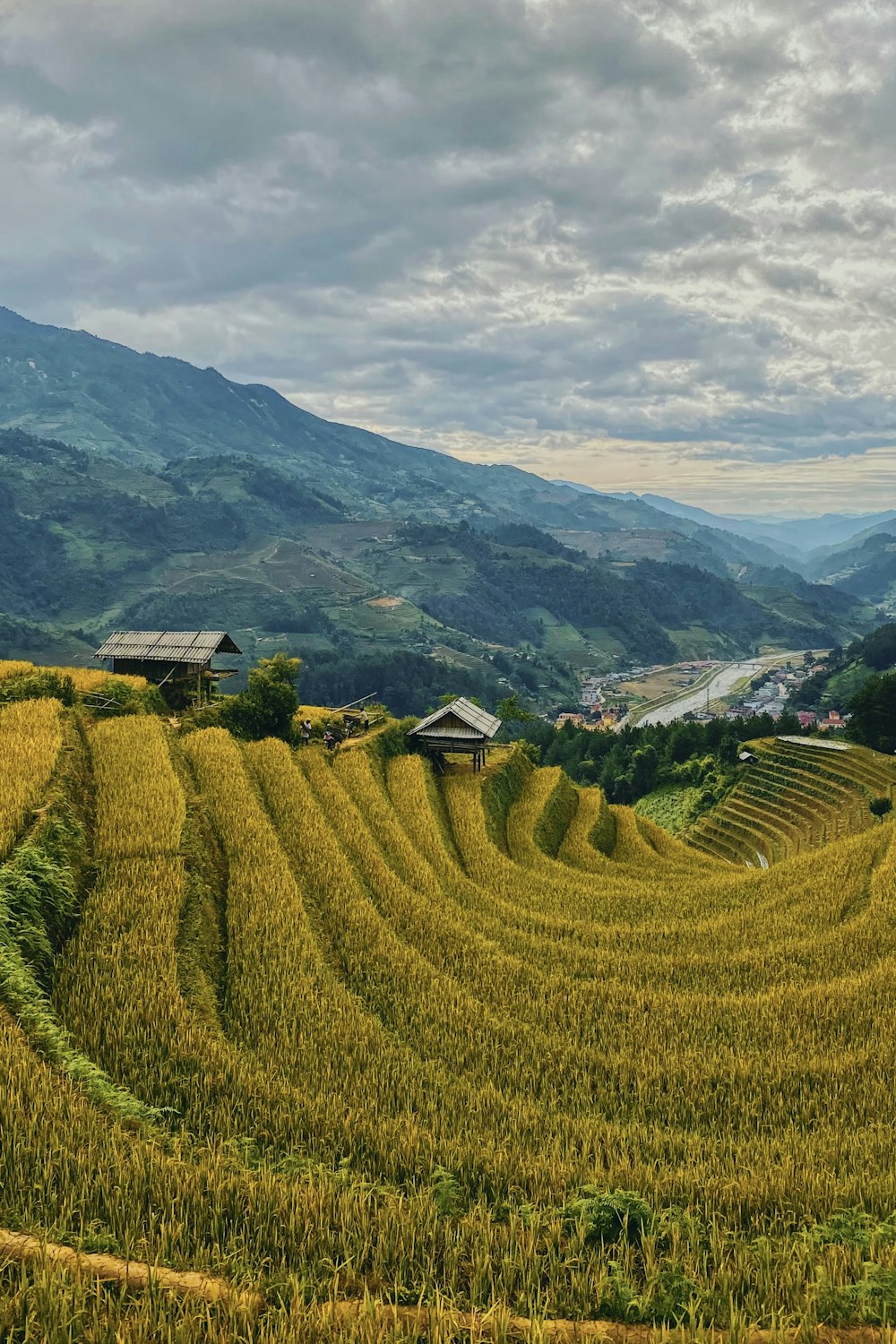 green grass field near green mountains during daytime