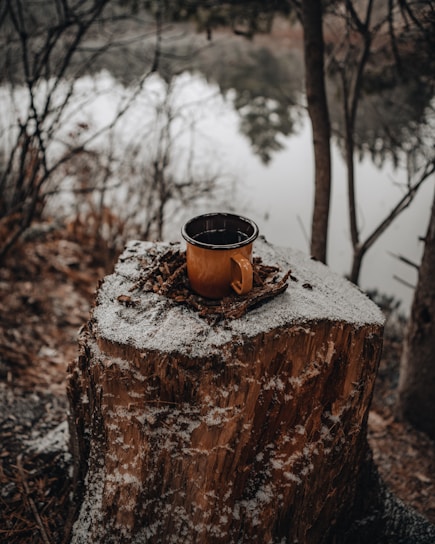A solitary orange mug rests on a large tree stump dusted with a light layer of snow, surrounded by a tranquil woodland scene with bare branches and a blurred body of water in the background.