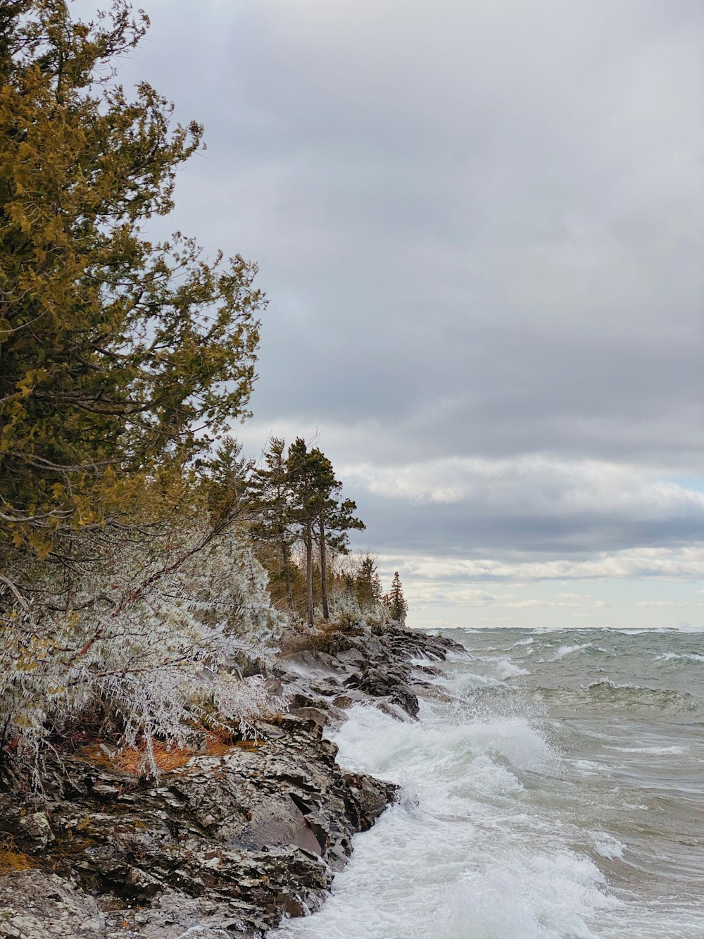 a view of a rocky shoreline with trees and water