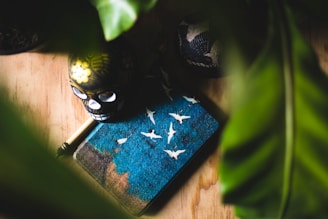 A decorative skull with floral patterns is positioned next to a pen and a notebook, which features a design of birds in flight against a blue background. The scene is framed by large green leaves, creating a natural and artistic aesthetic.