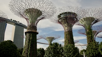 Vibrant garden structures resembling giant trees are covered in greenery and plants. A modern architectural building with a boat-like top is visible in the background, suggesting a futuristic and eco-friendly urban design.