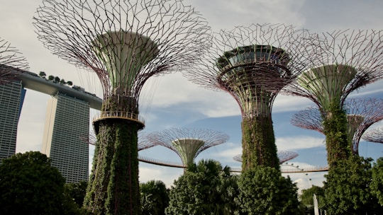 Vibrant garden structures resembling giant trees are covered in greenery and plants. A modern architectural building with a boat-like top is visible in the background, suggesting a futuristic and eco-friendly urban design.