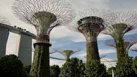 Vibrant garden structures resembling giant trees are covered in greenery and plants. A modern architectural building with a boat-like top is visible in the background, suggesting a futuristic and eco-friendly urban design.