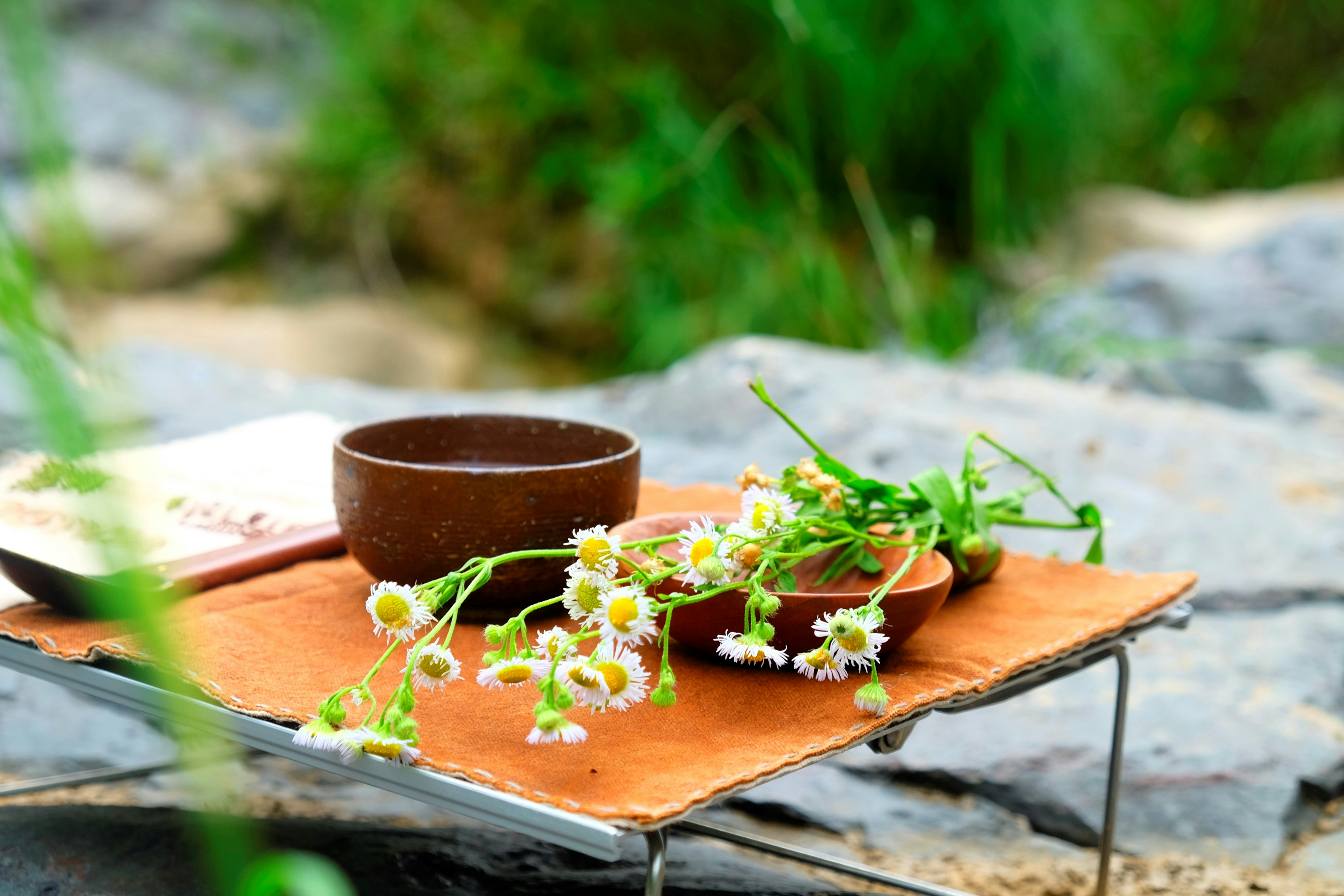 green plant on brown wooden tray