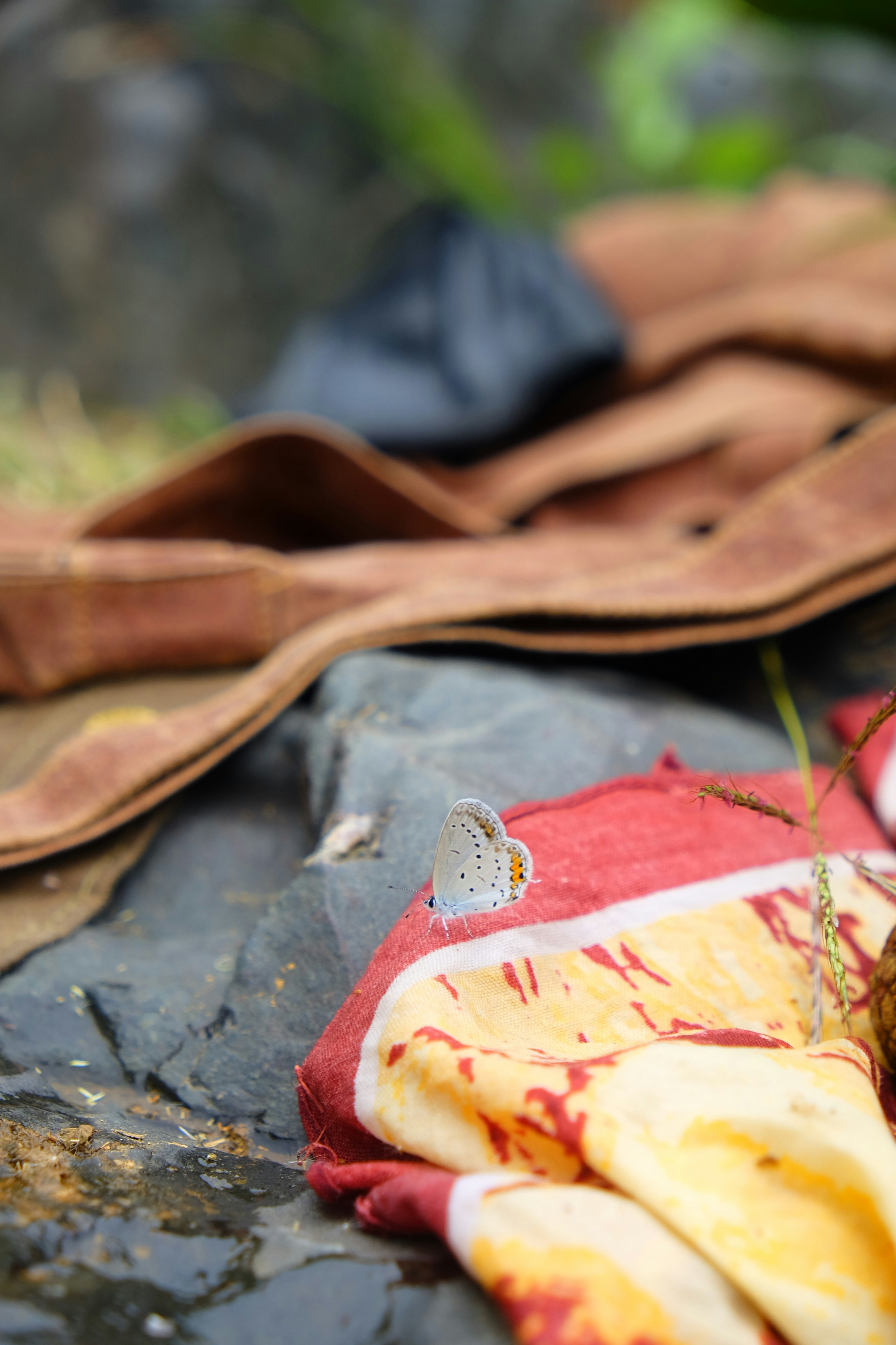 white and brown heart shaped ornament on red and white textile