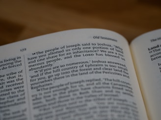 An open book displaying a passage from the Old Testament, specifically the book of Joshua. The text discusses the people of Joseph and their inheritance of land. The page is numbered 172, and the book includes chapter and verse numbers.