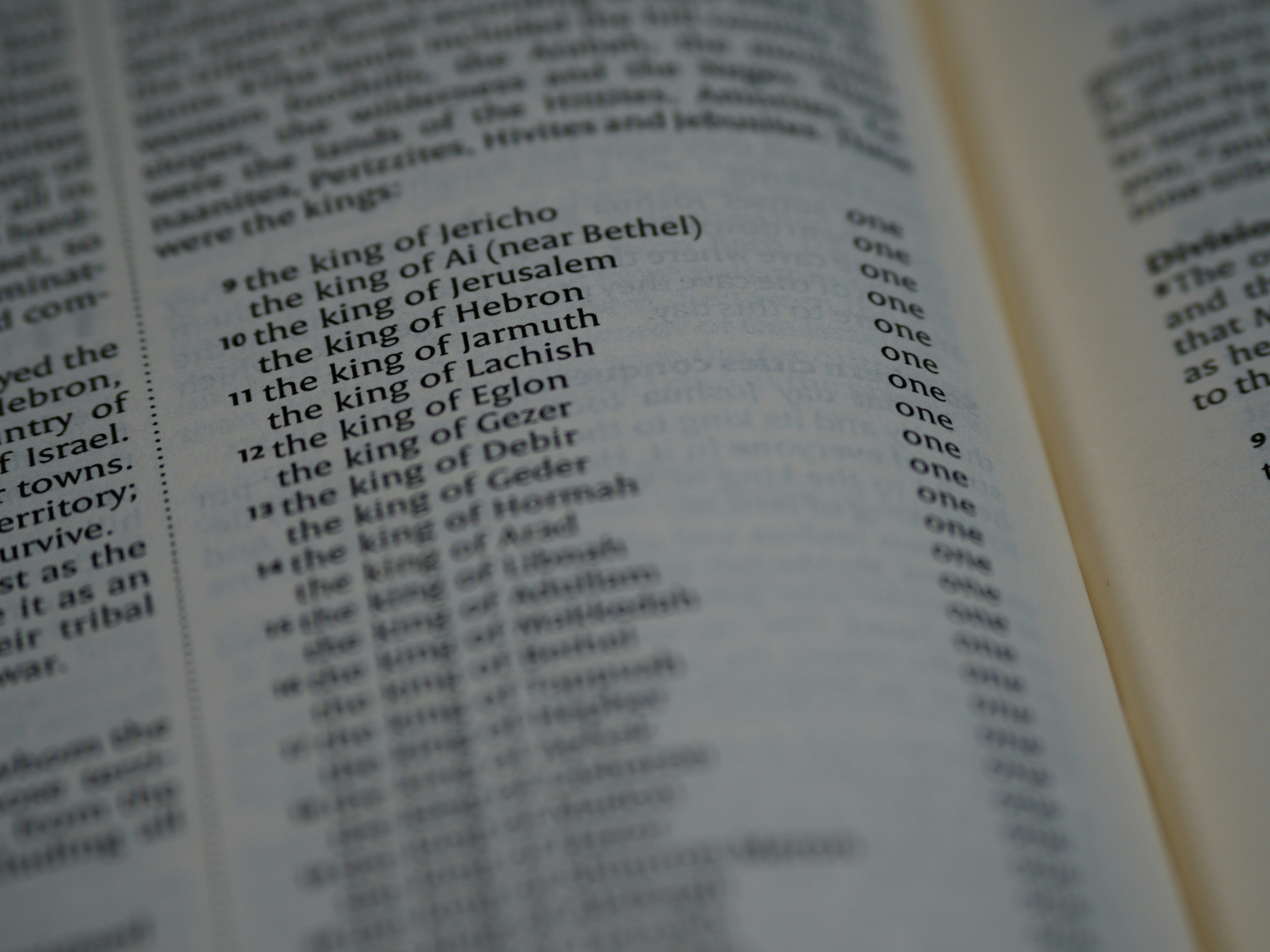 close up, bokeh, macro, blur, blurred background, close focus, bible, old testament, joshua, christian, judaism, history, text, first book of deuteronomist history, twelve tribes, reading, bible study, torah, devotions, text, NIV, New International Version, type, typography, canon, christianity, holy scripture, holy bible, scripture, book of joshua, hebrews, ספר יהושע, </p><p dir=