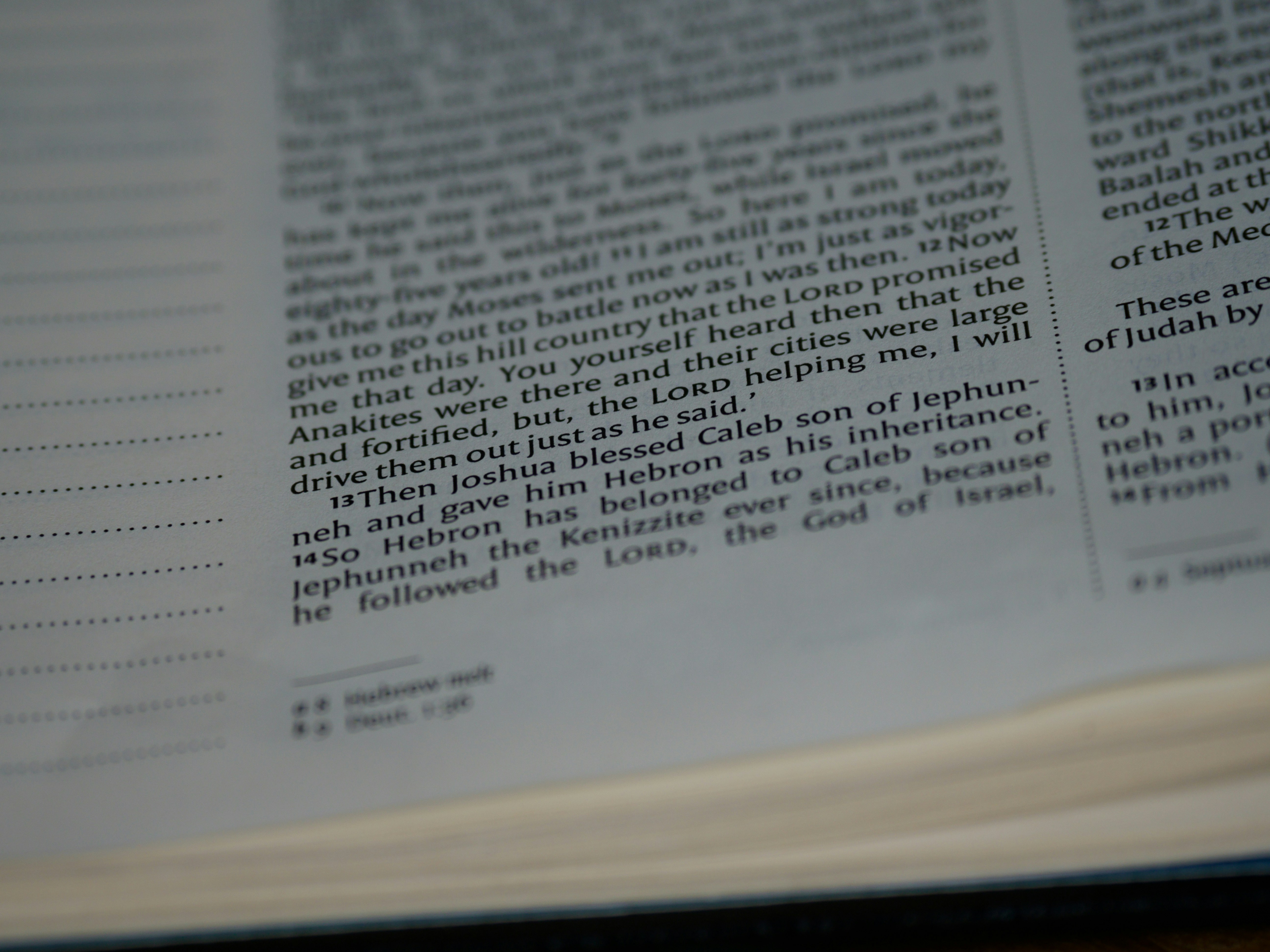 Photo by brett_jordan