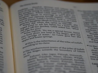 A small group engaged in lively discussion over scripture passages.
