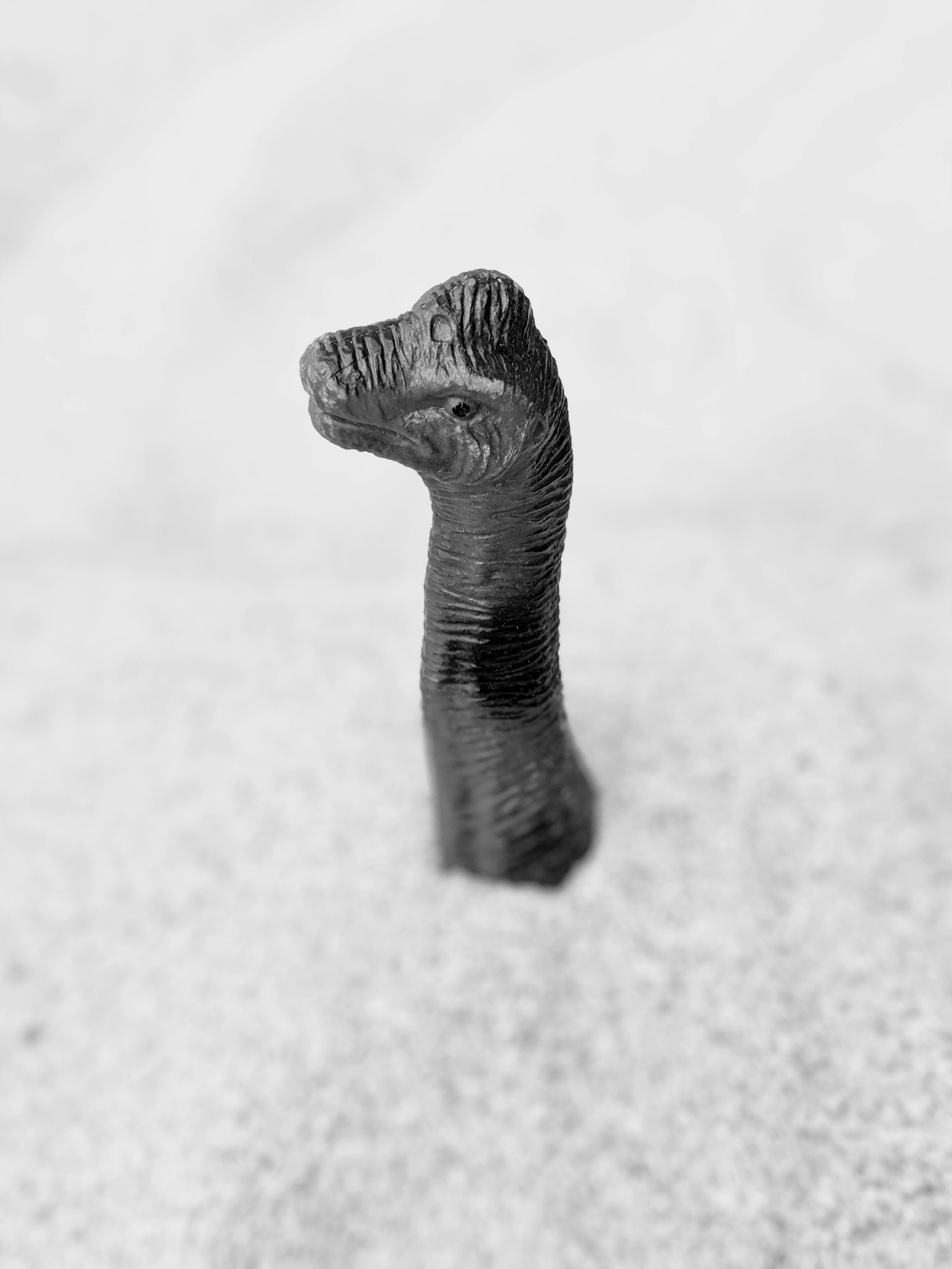 Understanding Emergent Object Segmentation in Dinov2