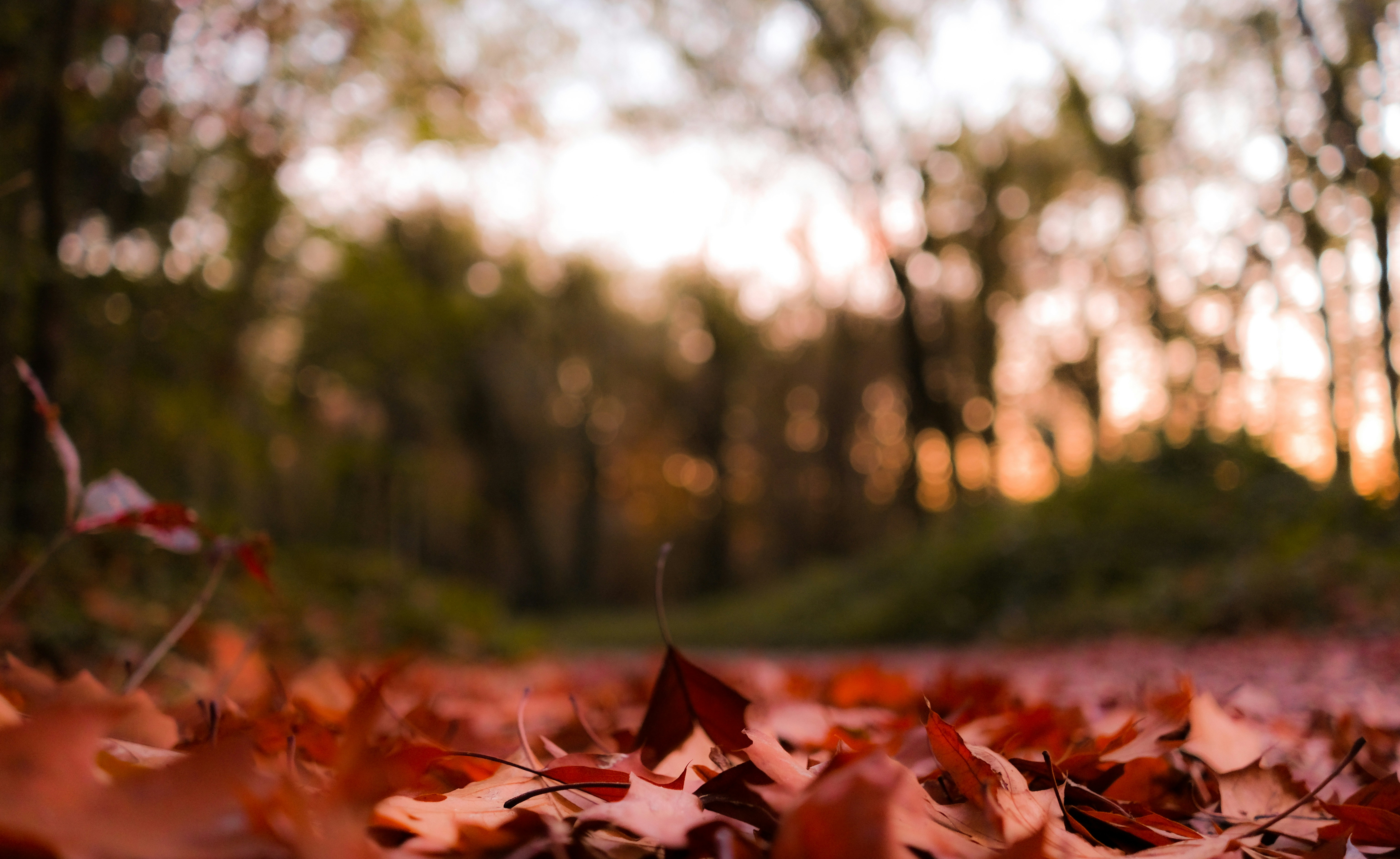 Photo by akaguglielmo