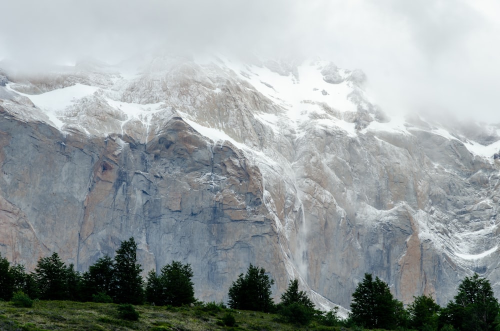 green trees near mountain under white sky during daytime