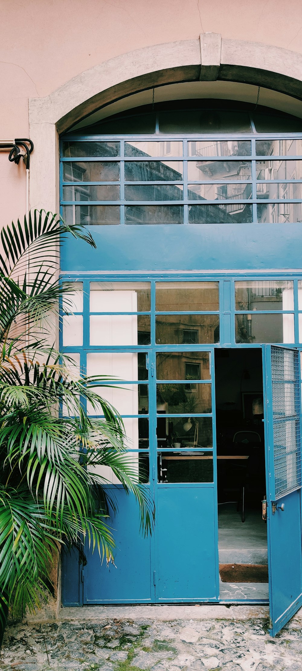 Grüne Palmenpflanze in der Nähe von blauem Glasfenster mit Holzrahmen