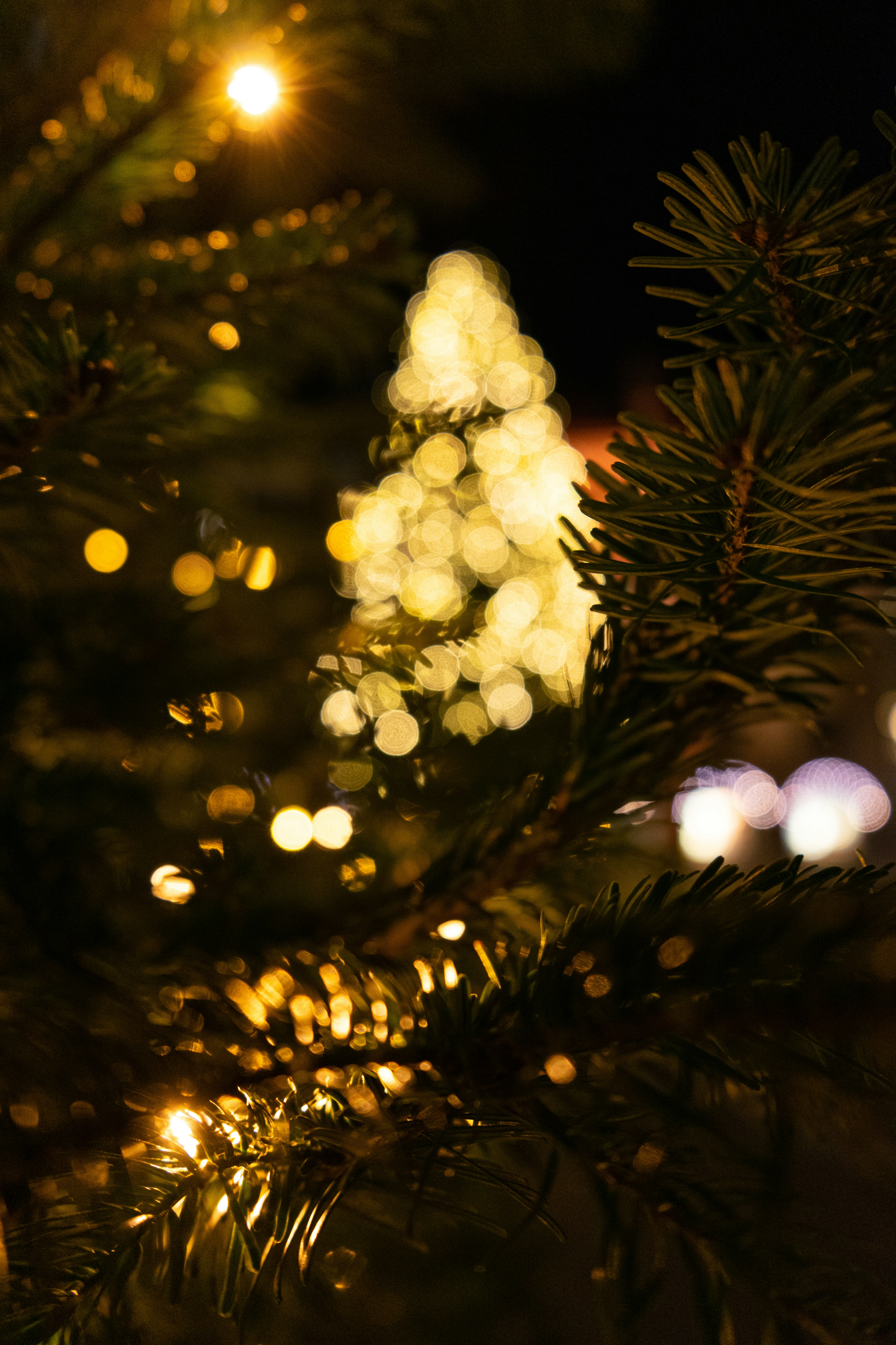 Photo by andreiamza2000