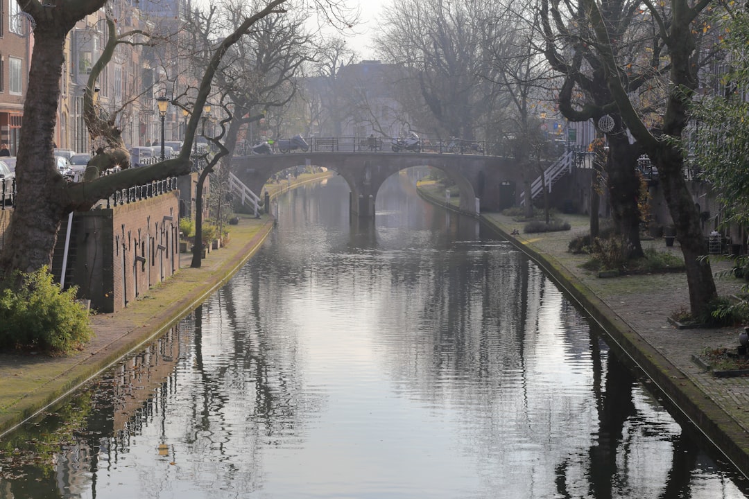 brown wooden bridge over river,