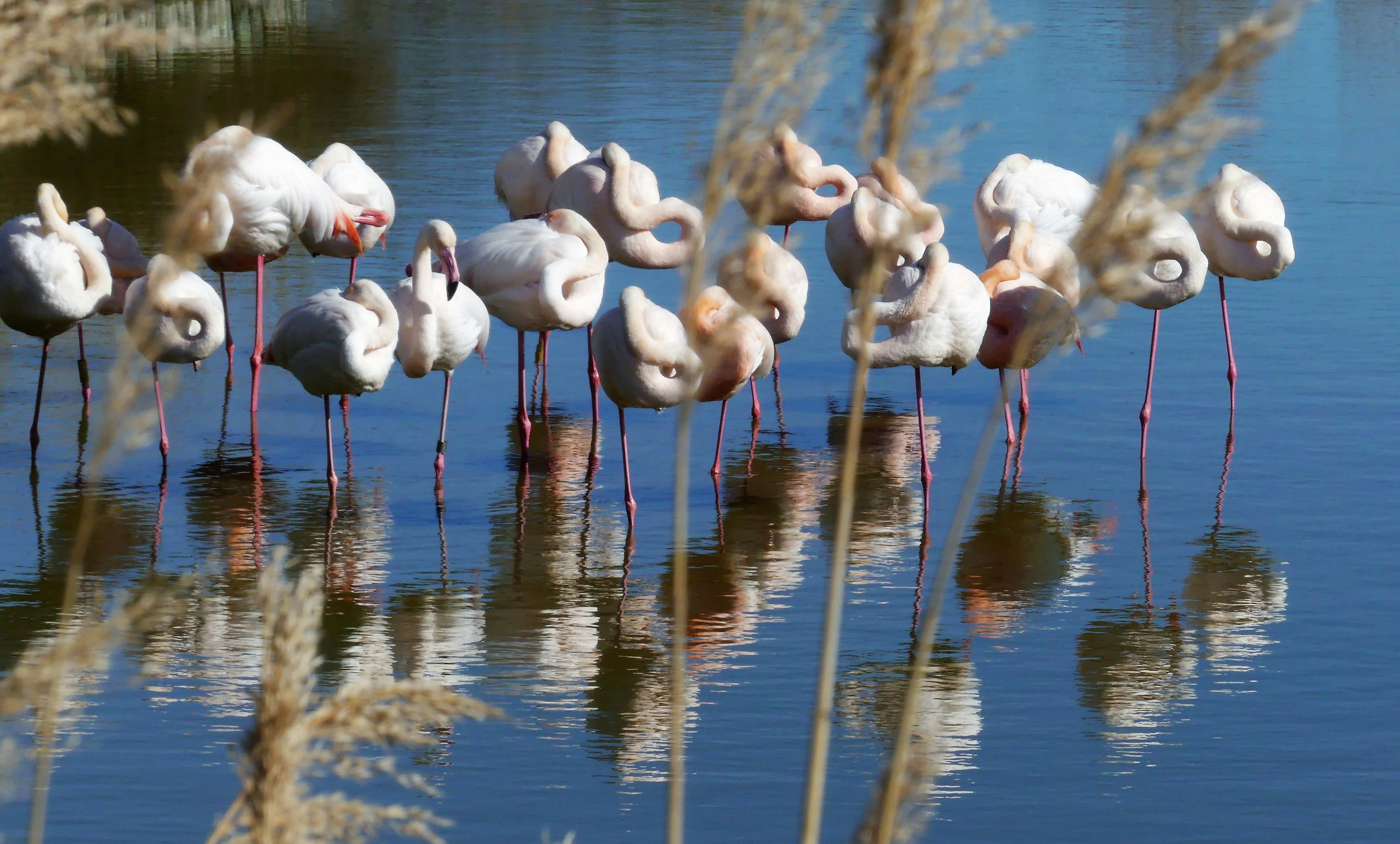 Photo by chignonchic