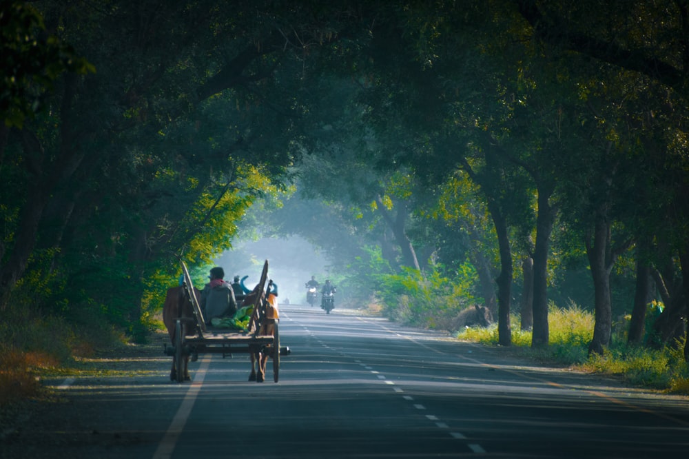 man riding on carriage on road during daytime