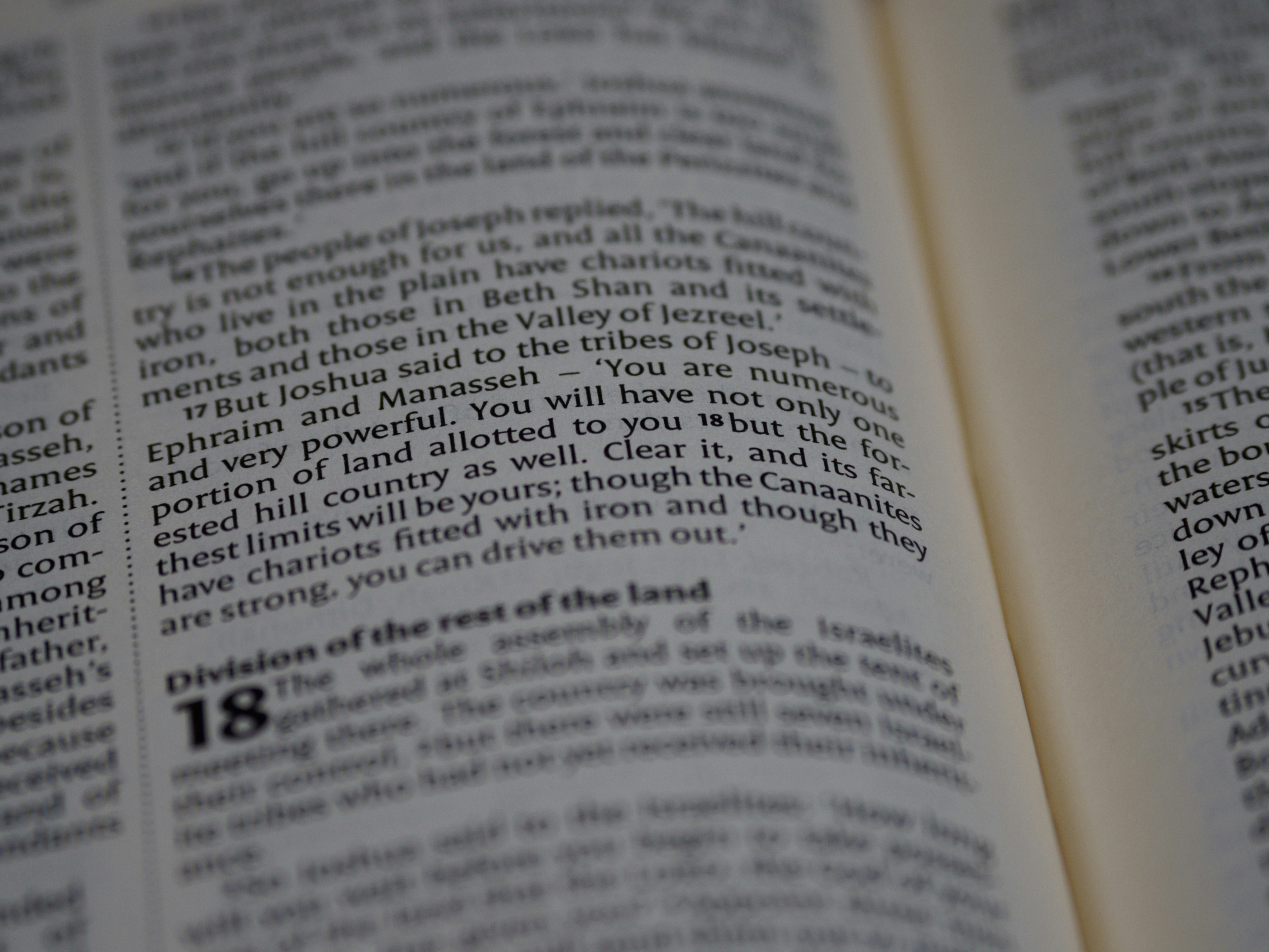 Photo by brett_jordan