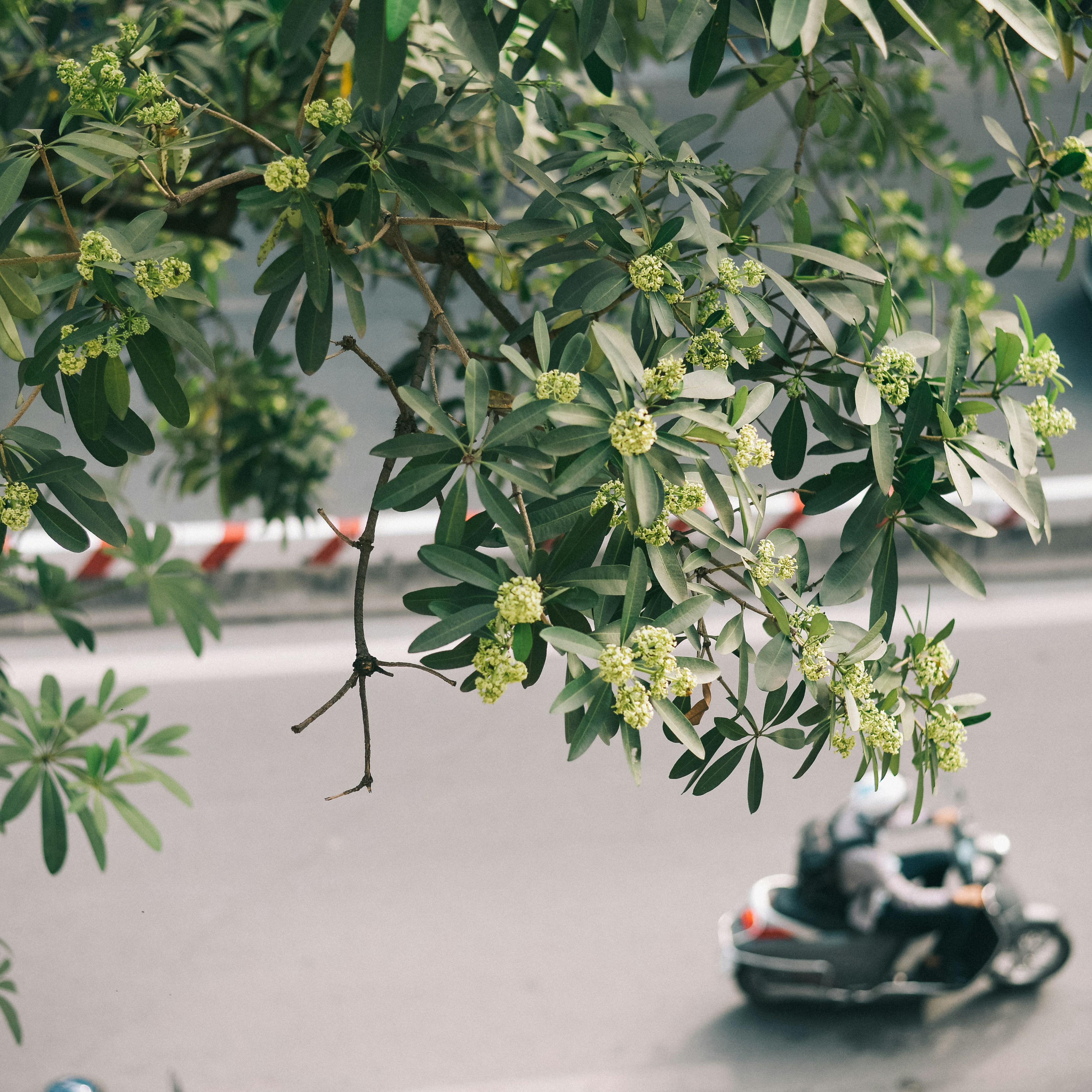 Photo by magicaleye7