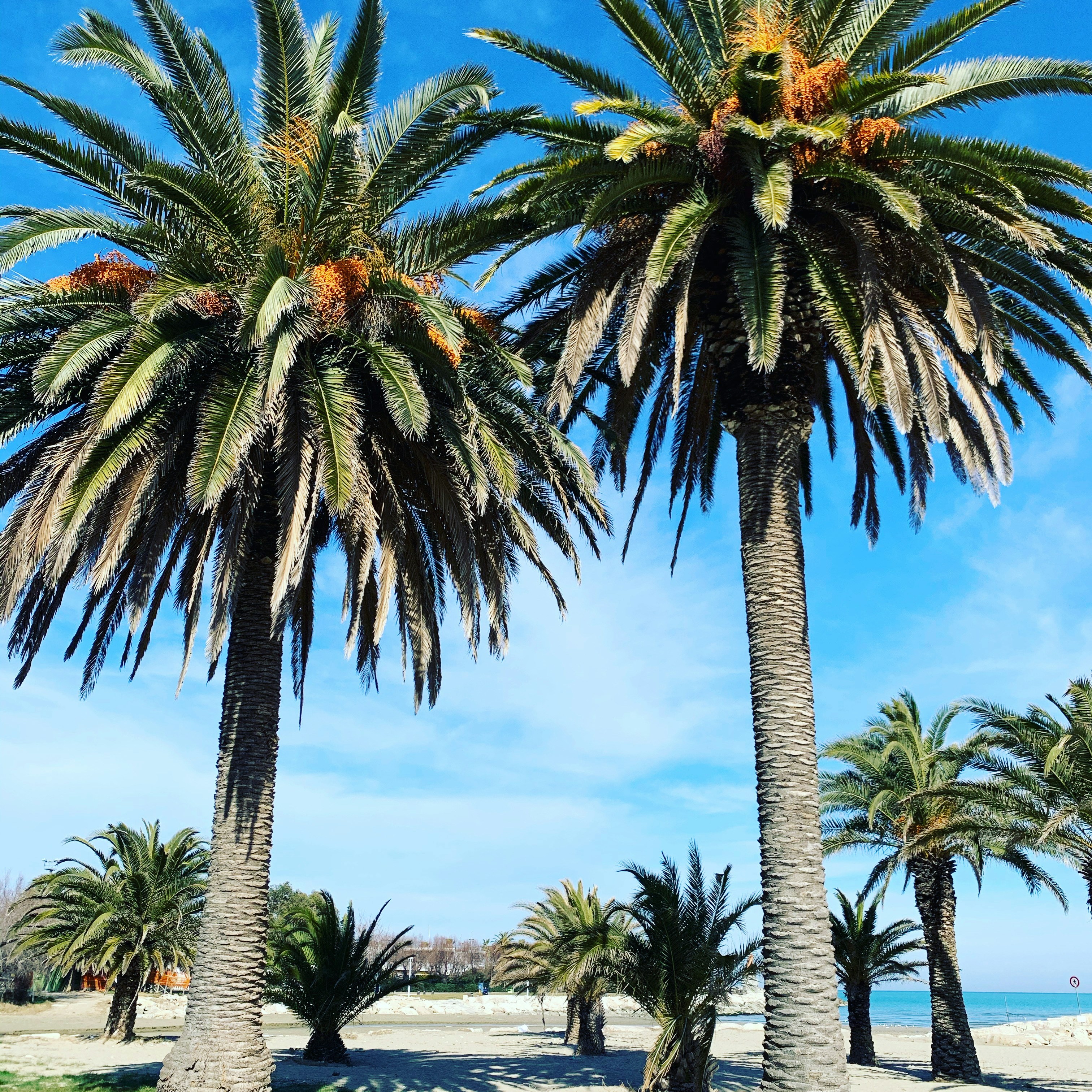 Photo by alessandroquagliarini