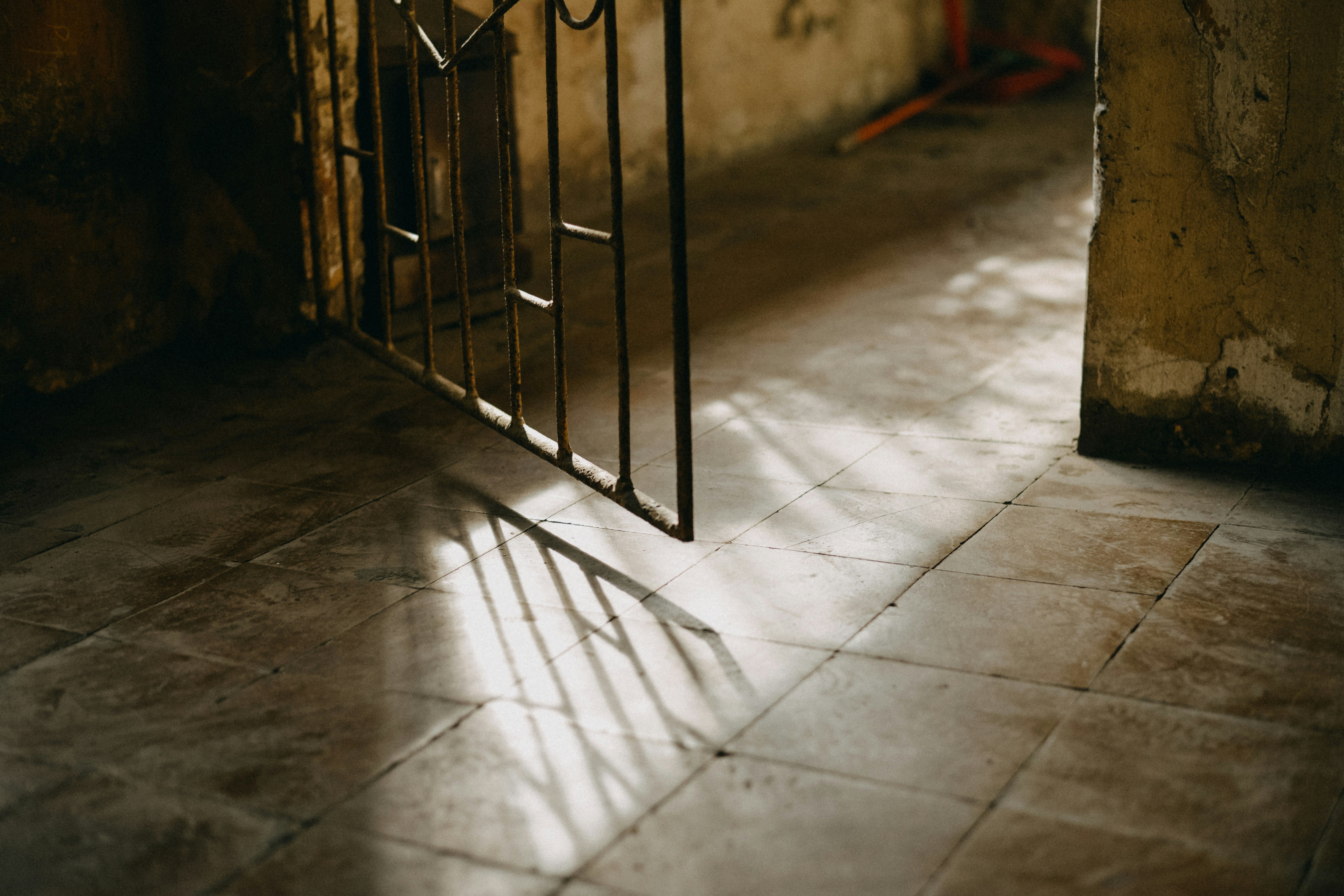 Photo by magicaleye7