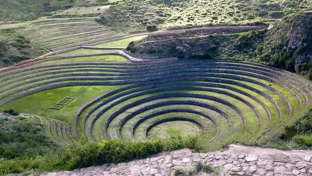 green grass field during daytime