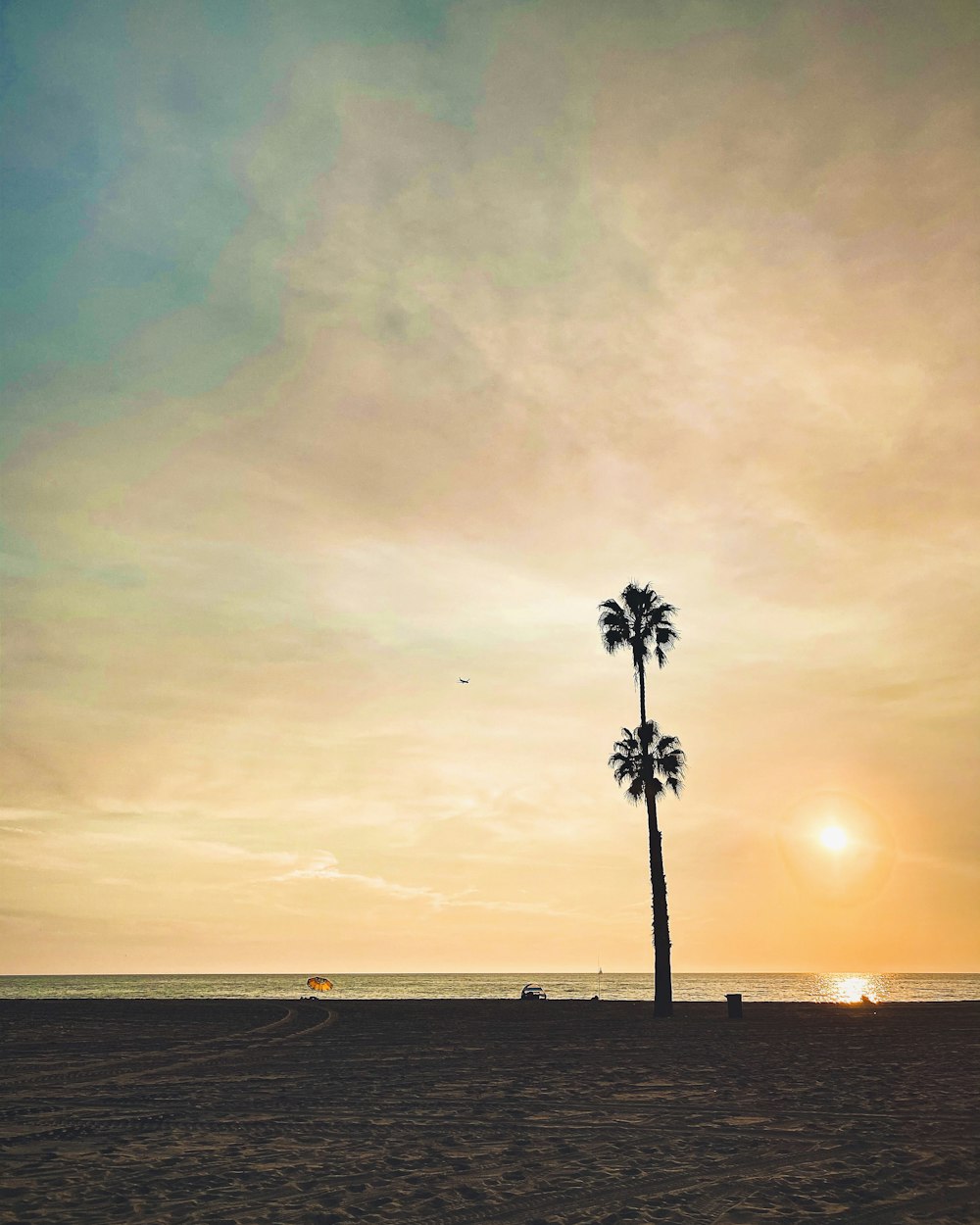 Palmier sur la plage au coucher du soleil
