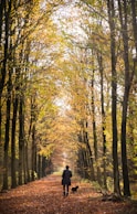 person in black jacket walking on pathway between trees during daytime