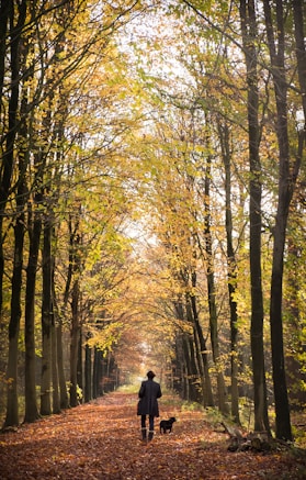 person in black jacket walking on pathway between trees during daytime