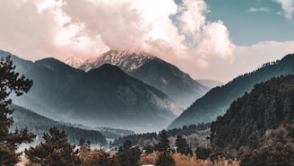 green trees near mountain under white clouds during daytime