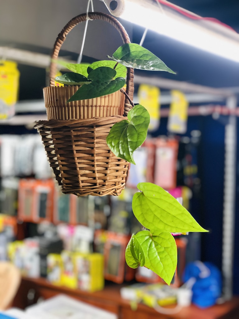 Panier en macramé