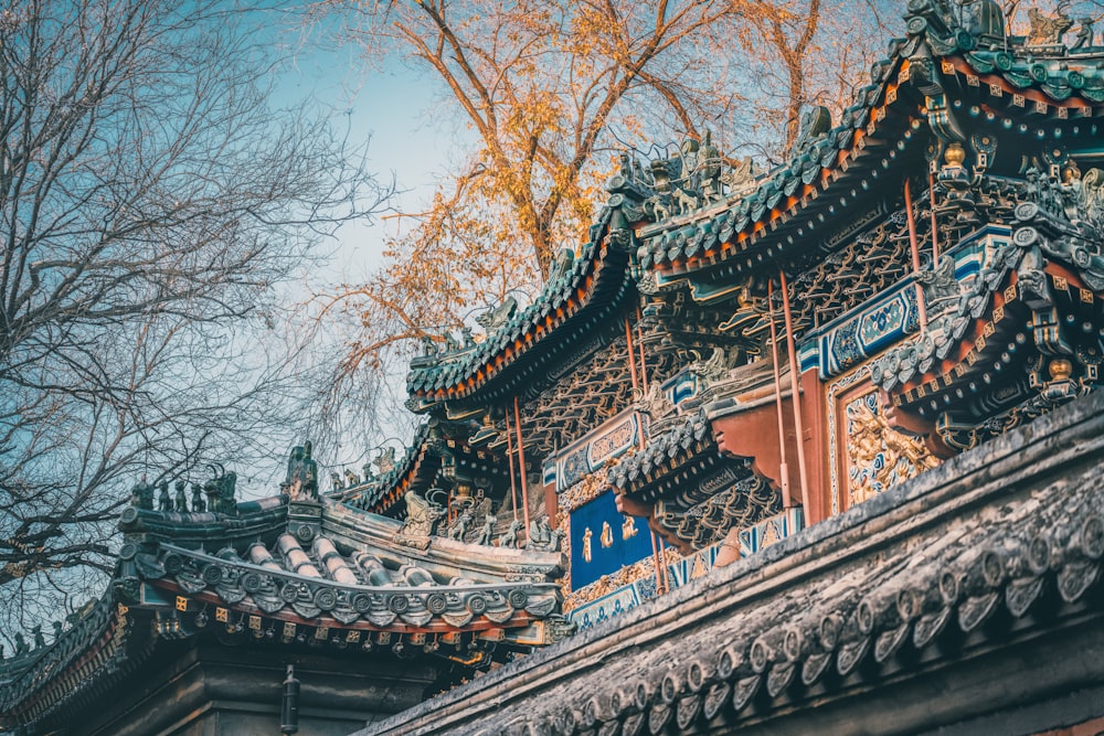 brown and black temple near bare trees during daytime