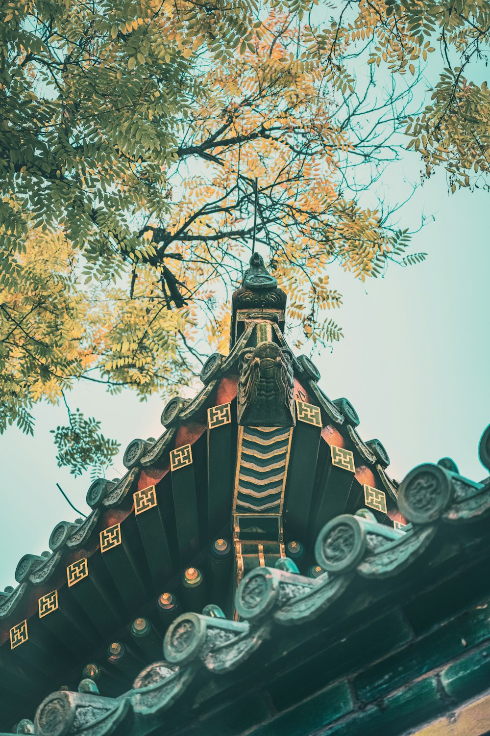 Templo marrón y negro bajo el cielo azul durante el día