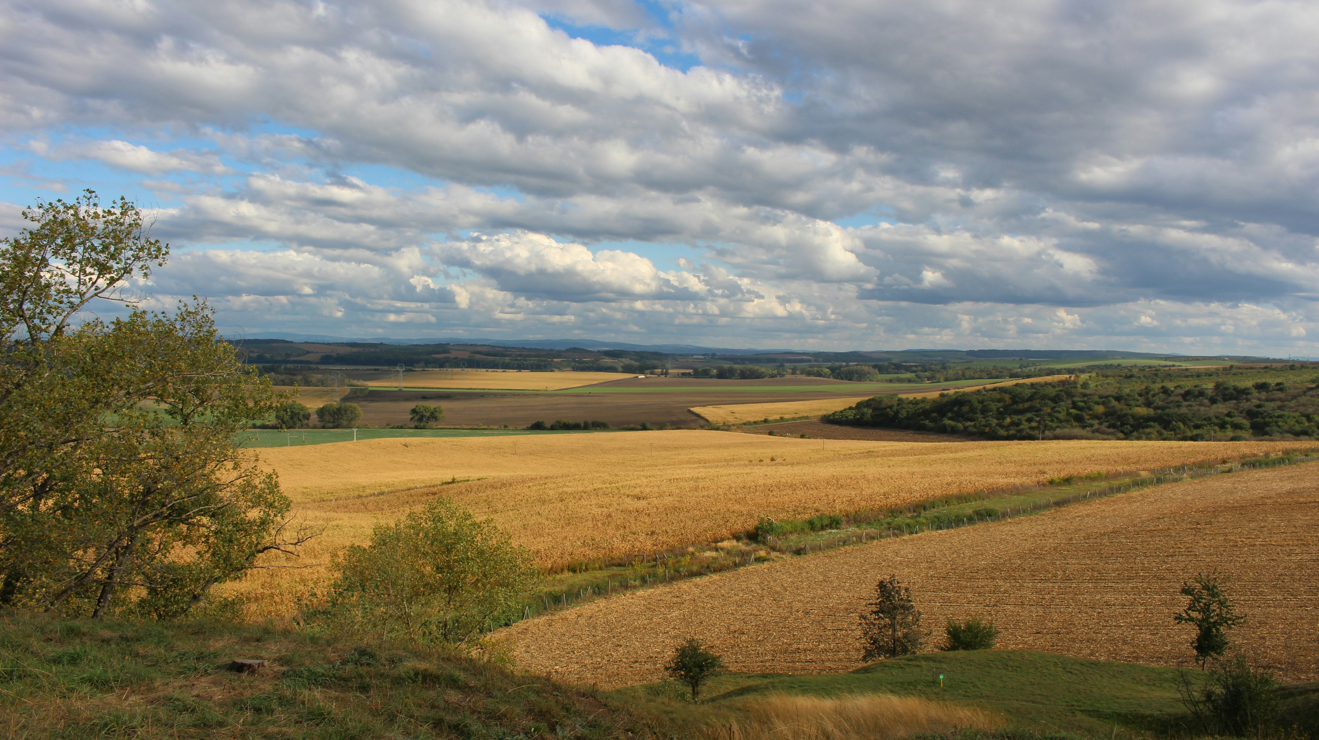 Photo by marjorylucabaxter