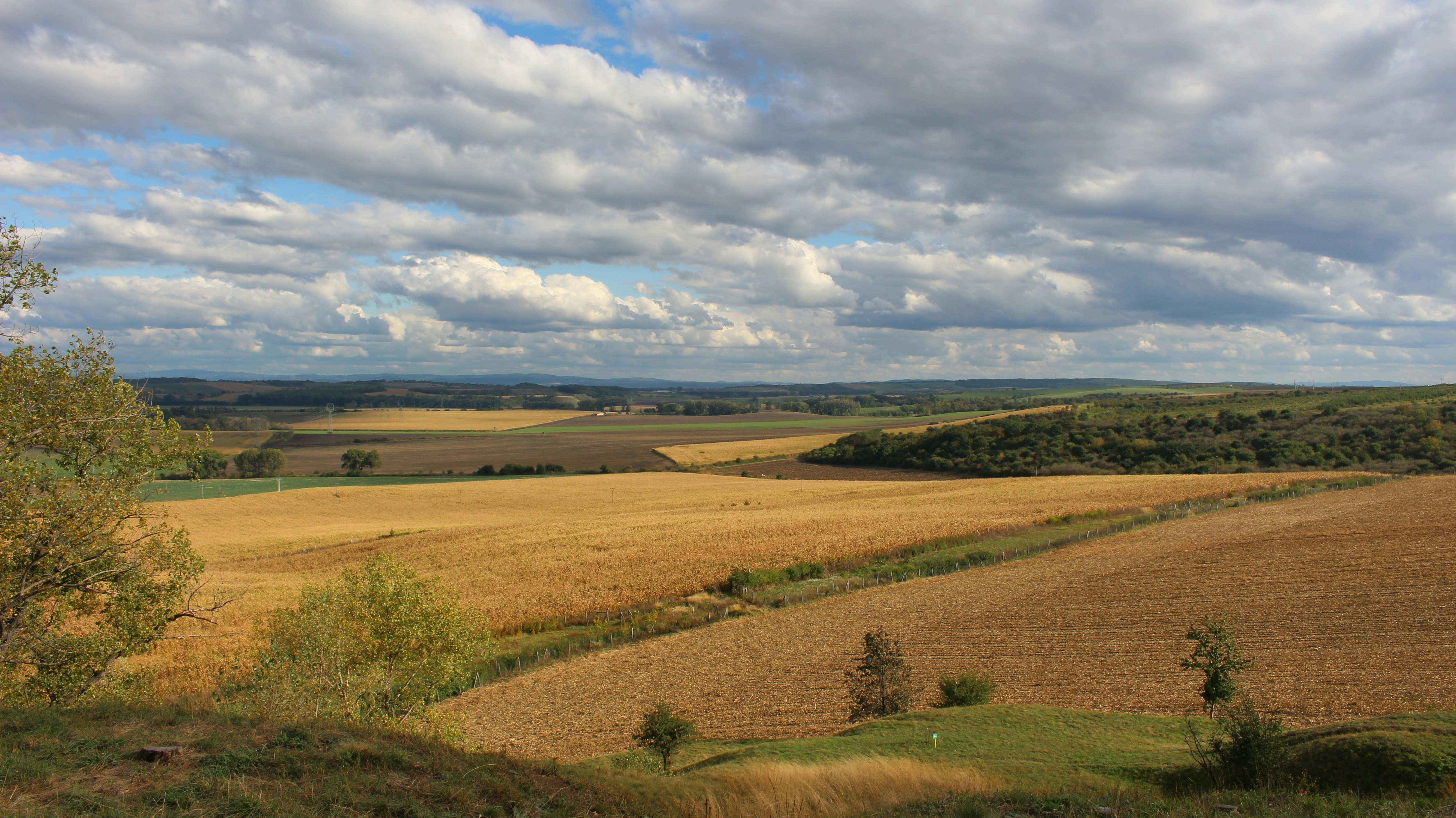 Photo by marjorylucabaxter