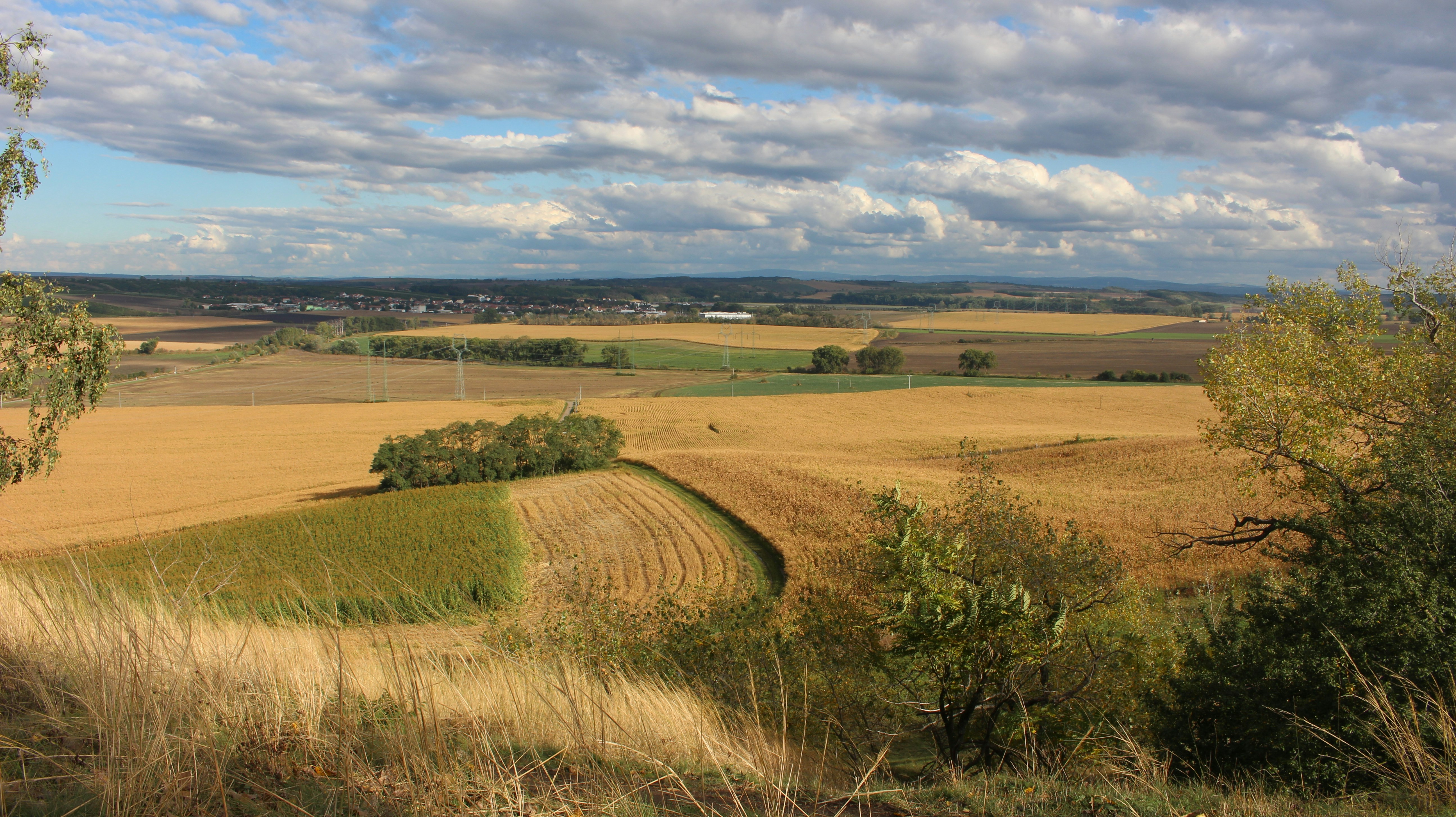 Photo by marjorylucabaxter