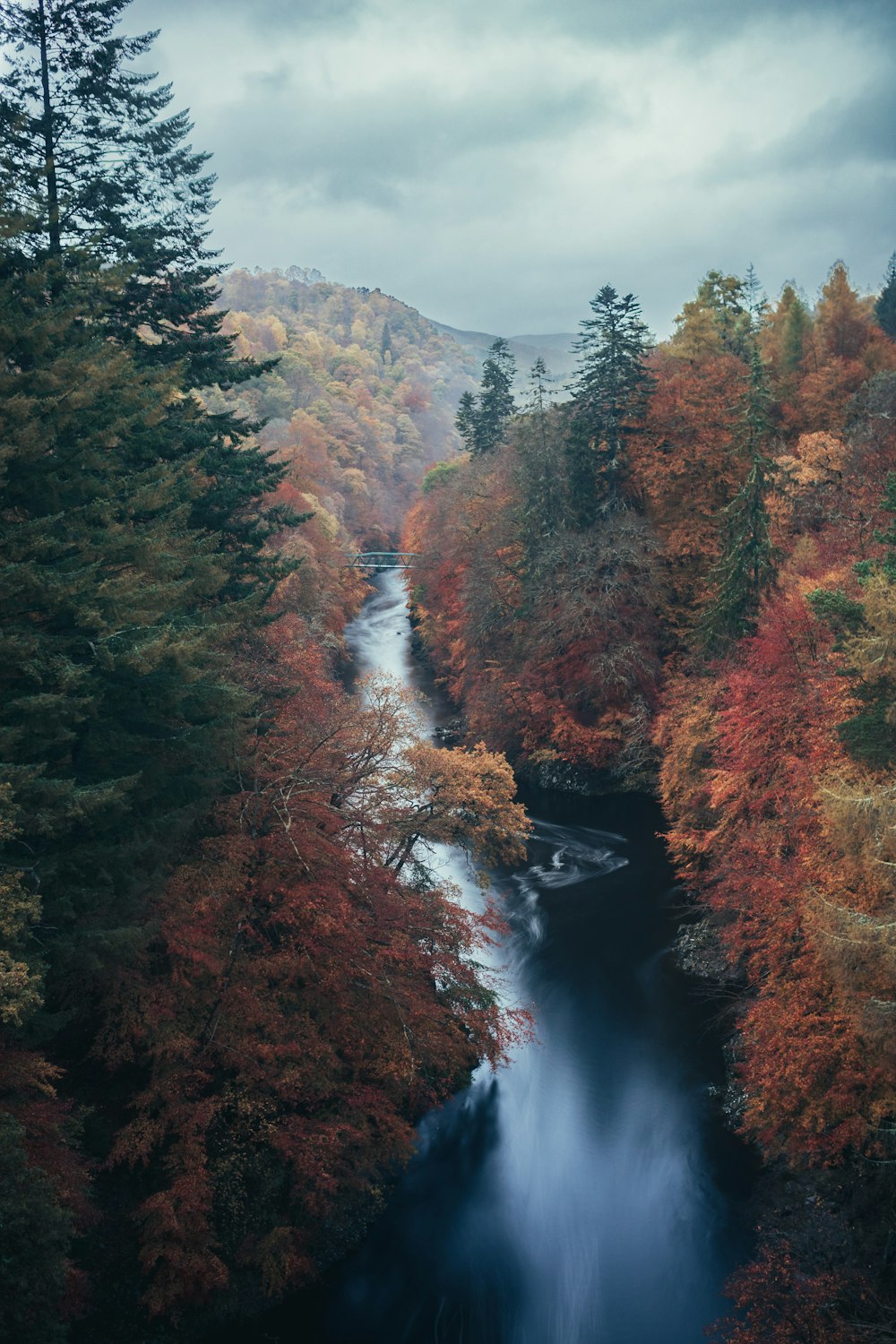 river between trees during daytime