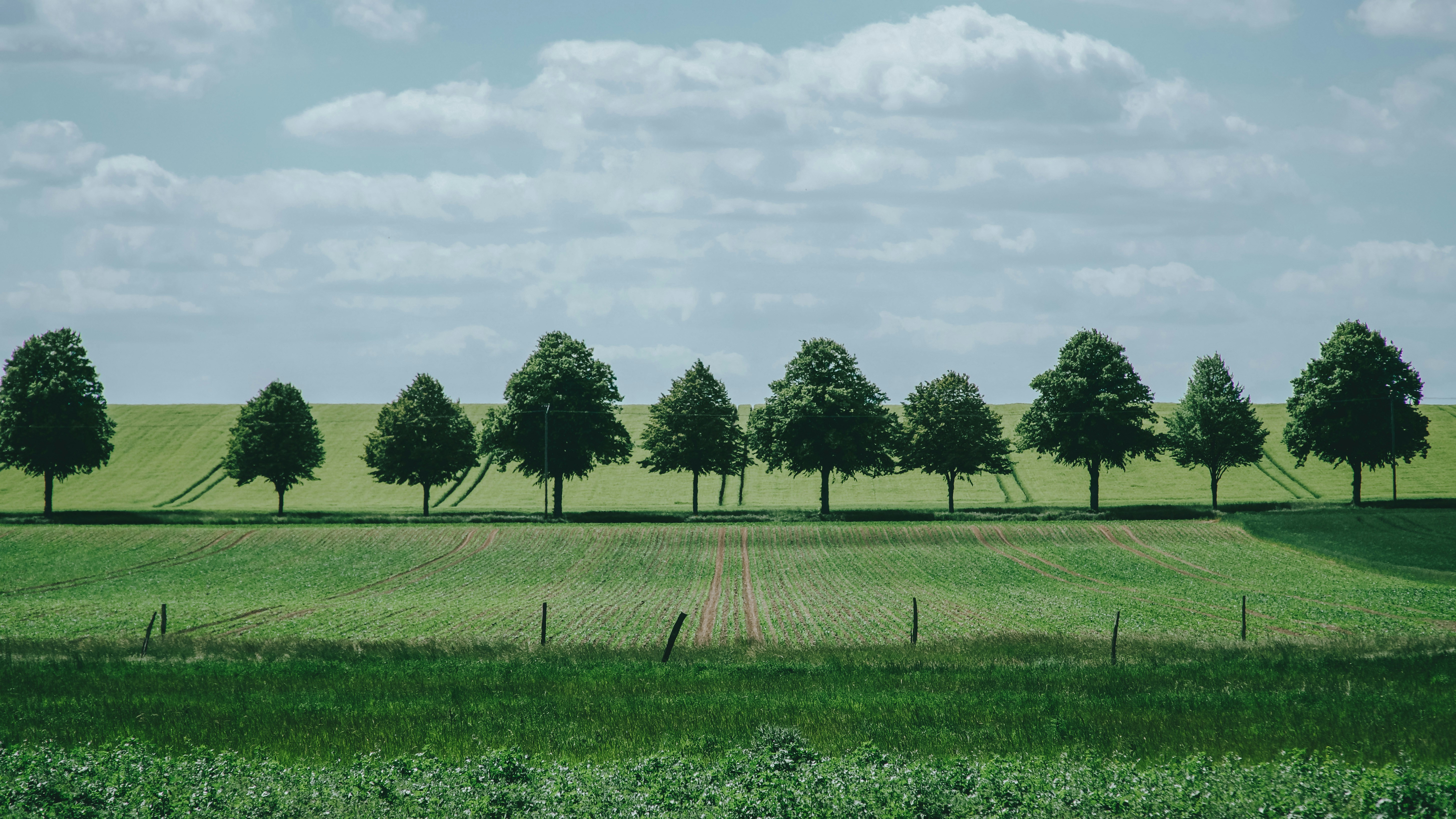 Photo by zhengyaosheng