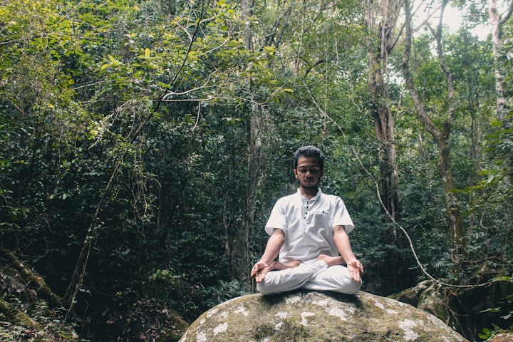 The Healing Power of Forest Bathing