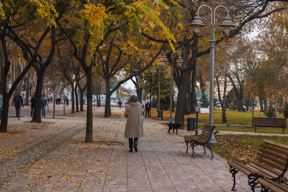 woman in white coat standing near brown wooden bench under yellow leaf trees during daytime