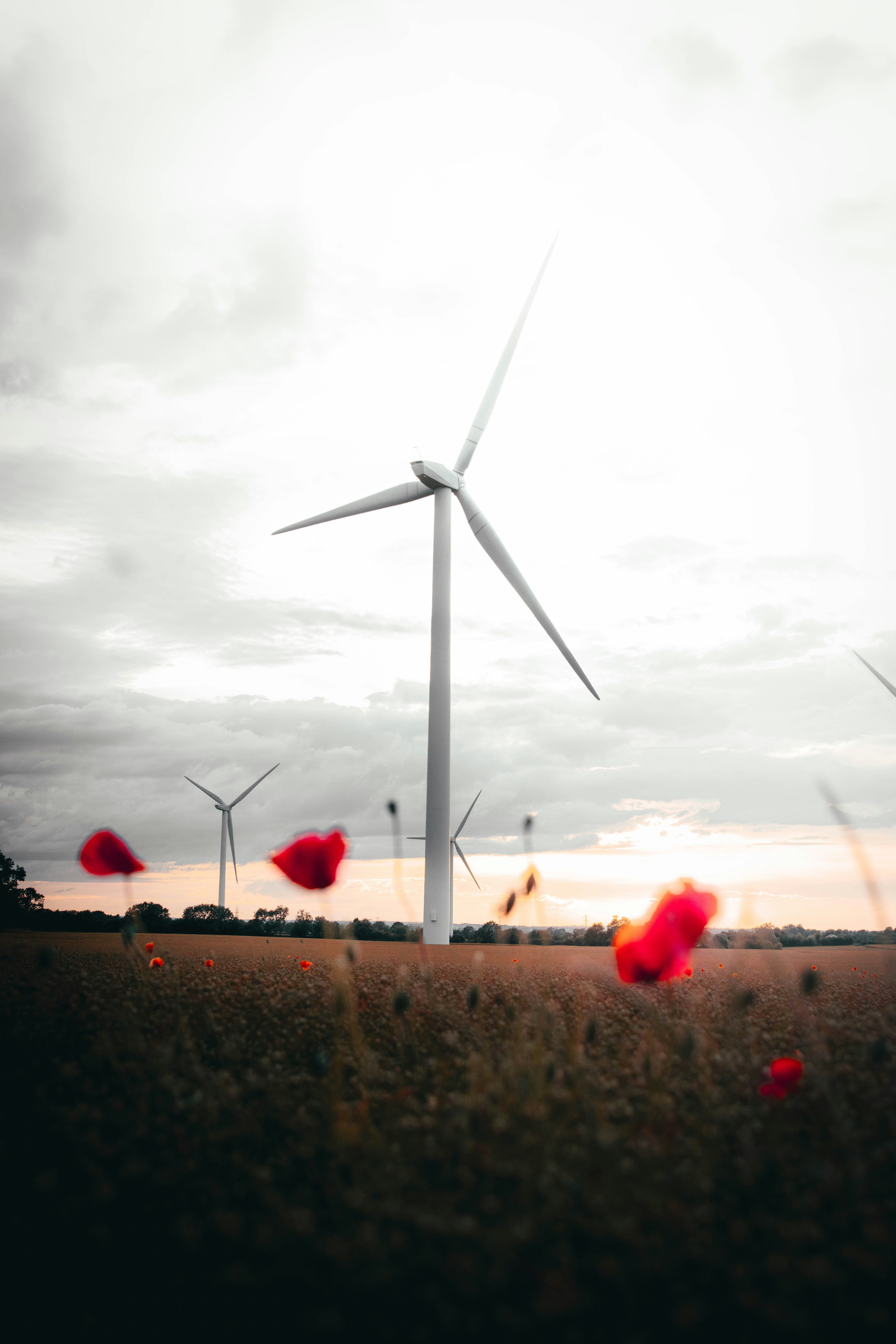 turbinas eólicas blancas en un campo de hierba verde bajo nubes blancas durante el día