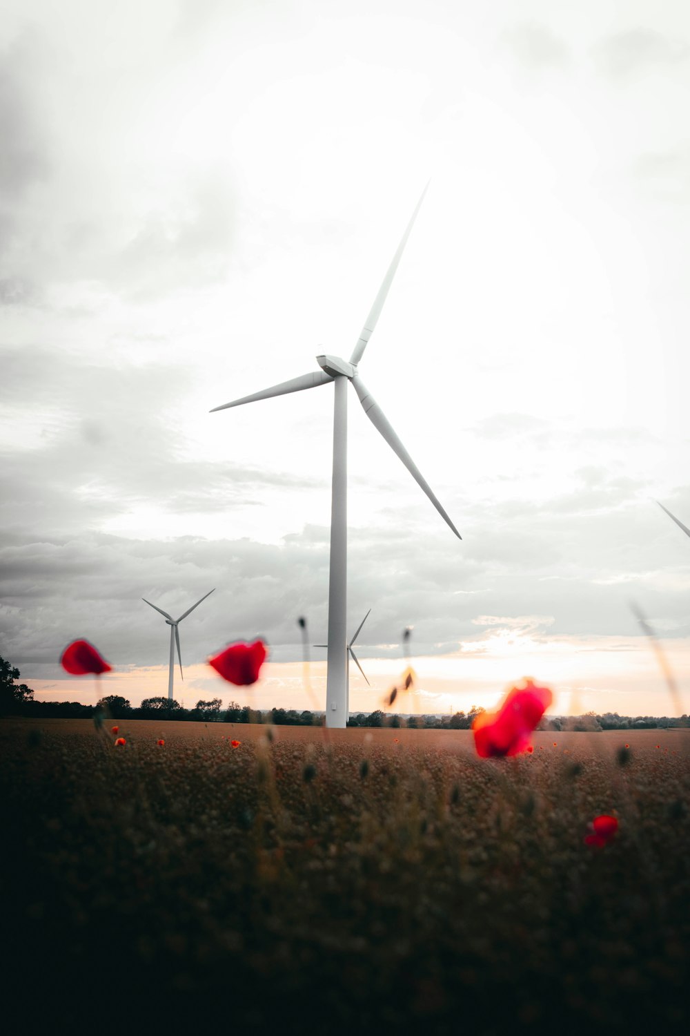 white wind turbines on green grass field under white clouds during daytime