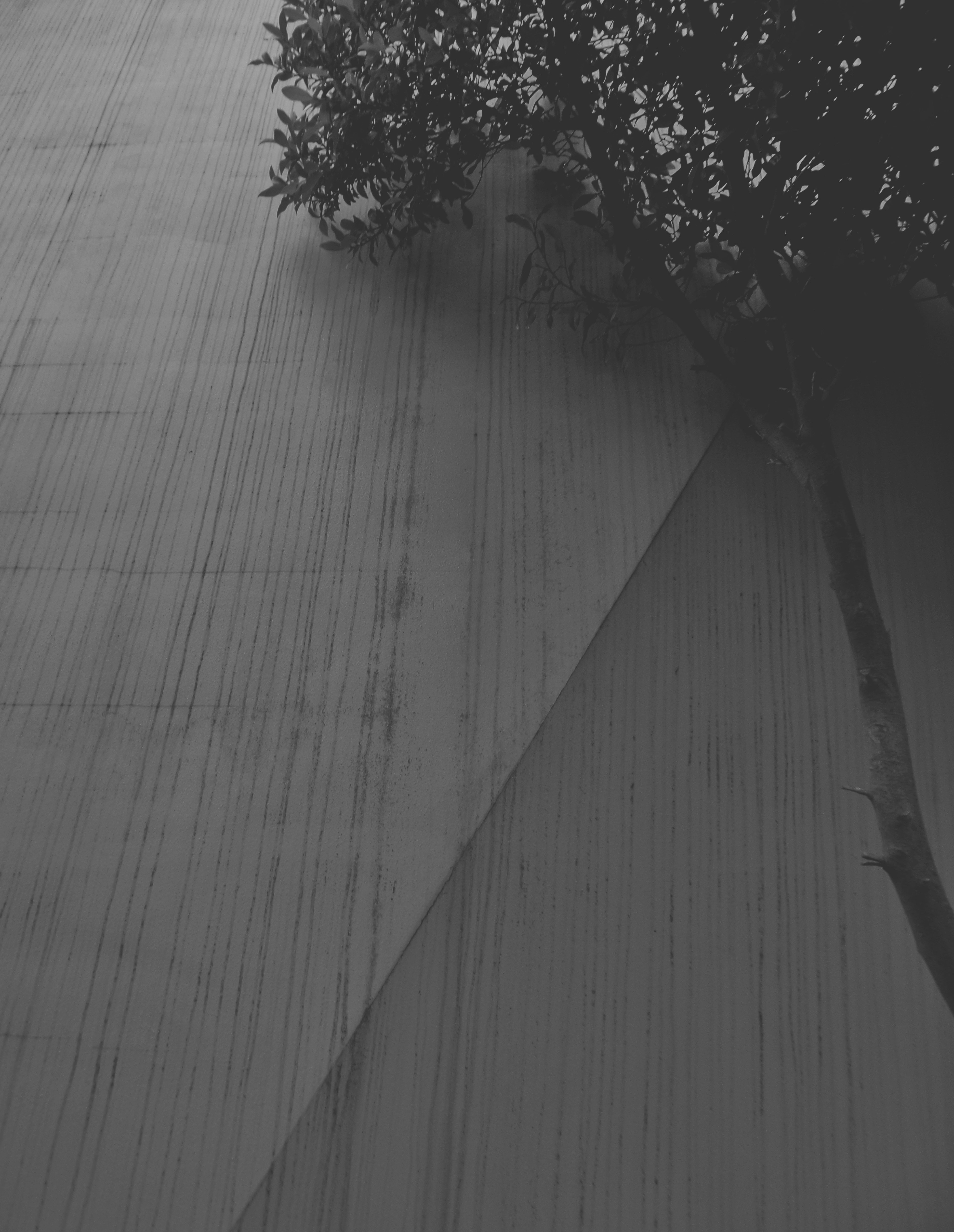 Les erreurs courantes concernant intestin et cerveau