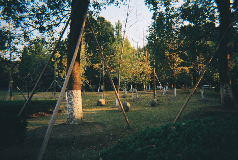 brown wooden swing on green grass field