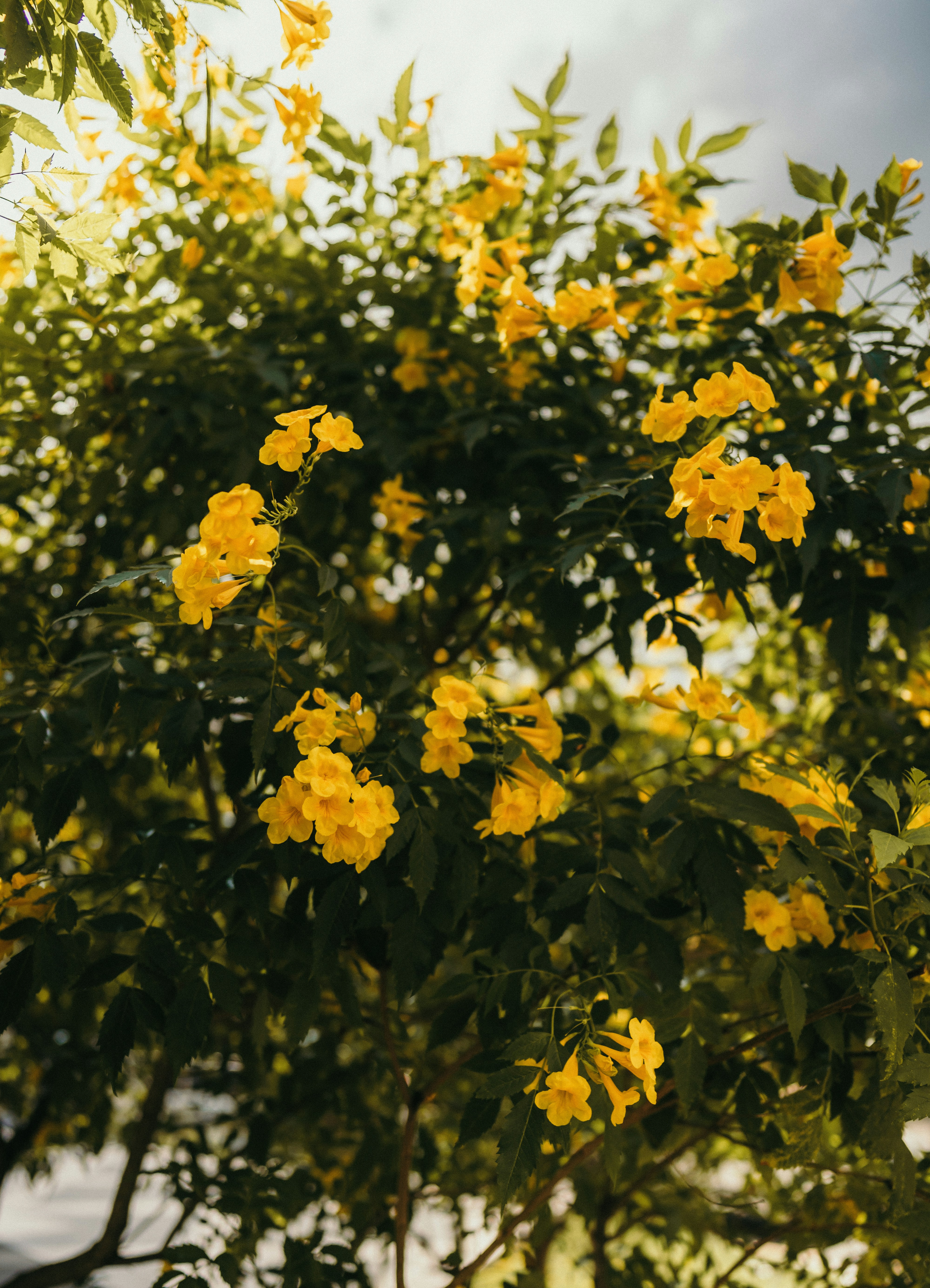 Photo by bettertogether_co