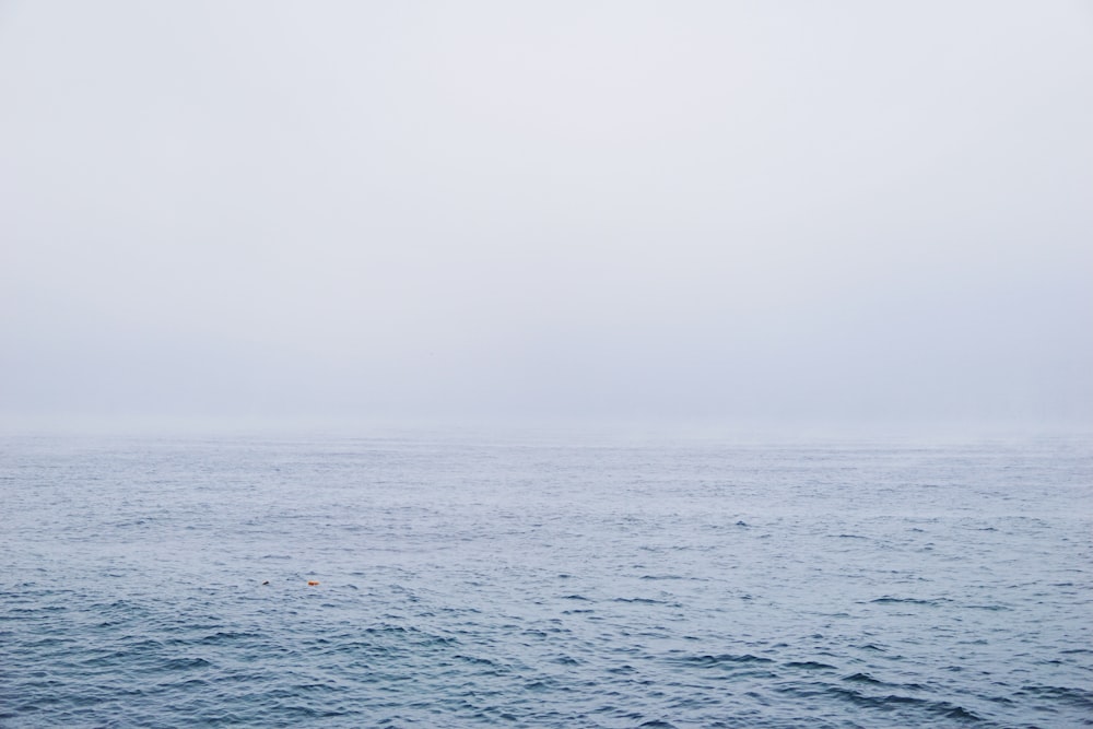 body of water under white sky during daytime