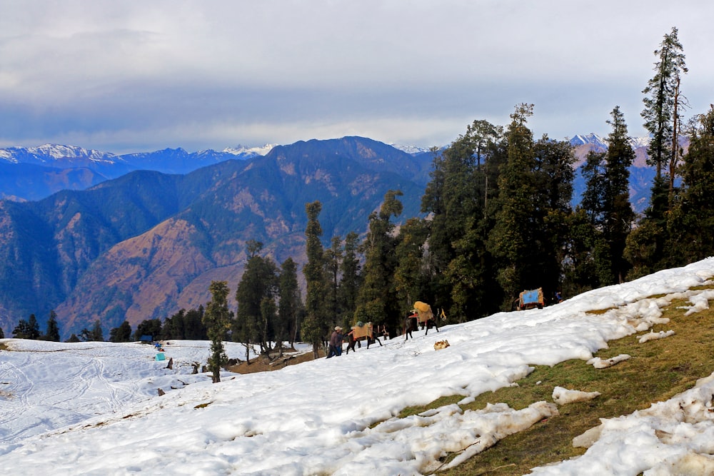 people walking on snow covered field near green trees and mountains during daytime