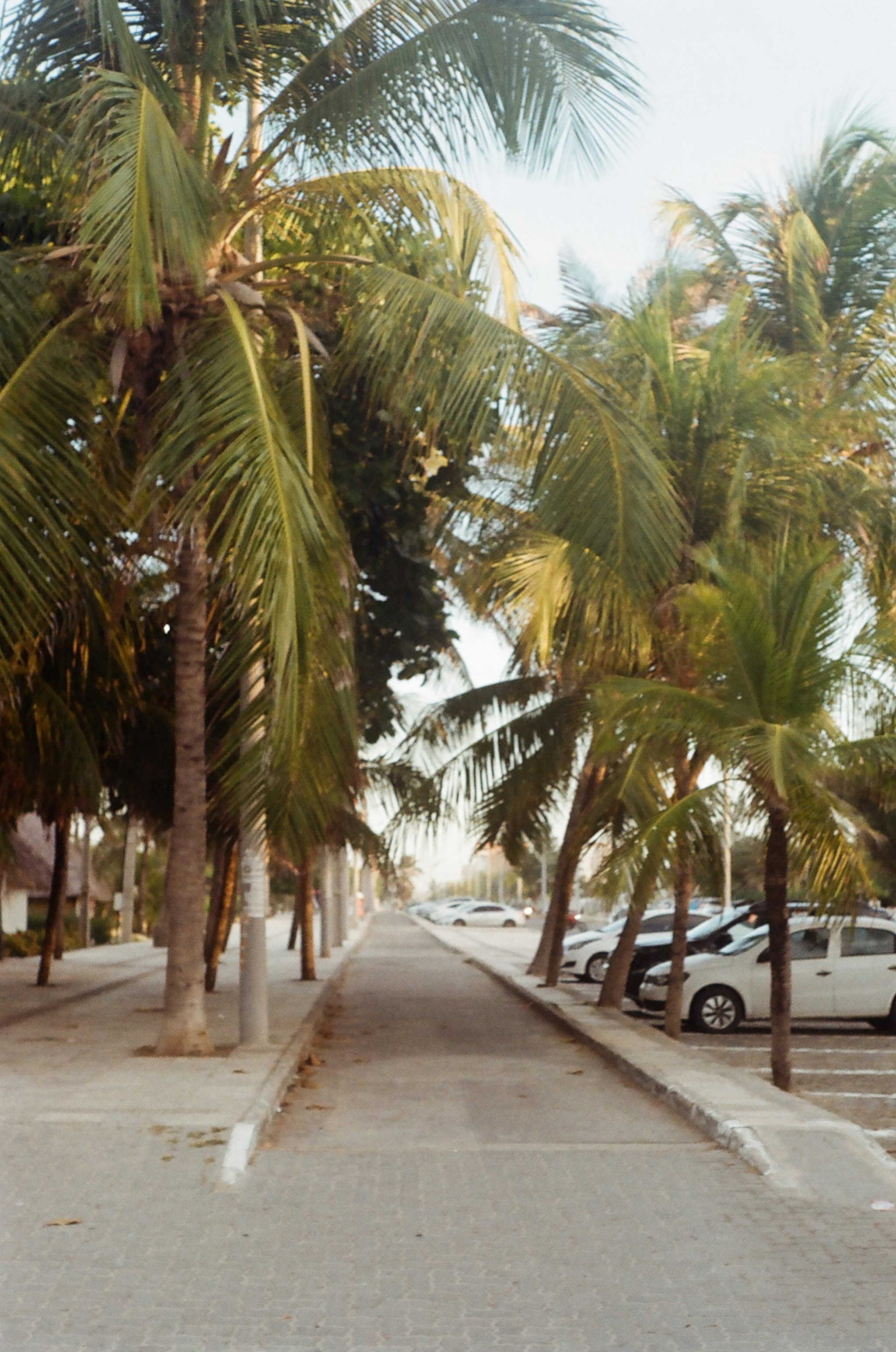 Photo by giisilveira