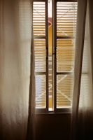 A window framed by draped curtains, with blinds partially revealing sunlight. The view outside is obscured by a lattice structure.