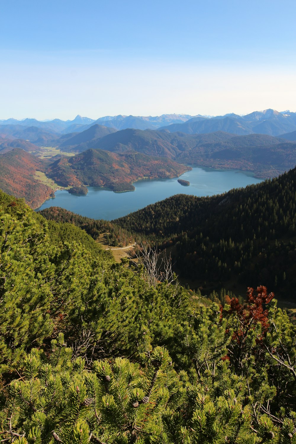 green trees on mountain during daytime